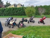 Wandertag 2022