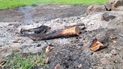 Einsatz Brand am 17. Mai 2026 Einsatz Brand am 17. Mai 2026
